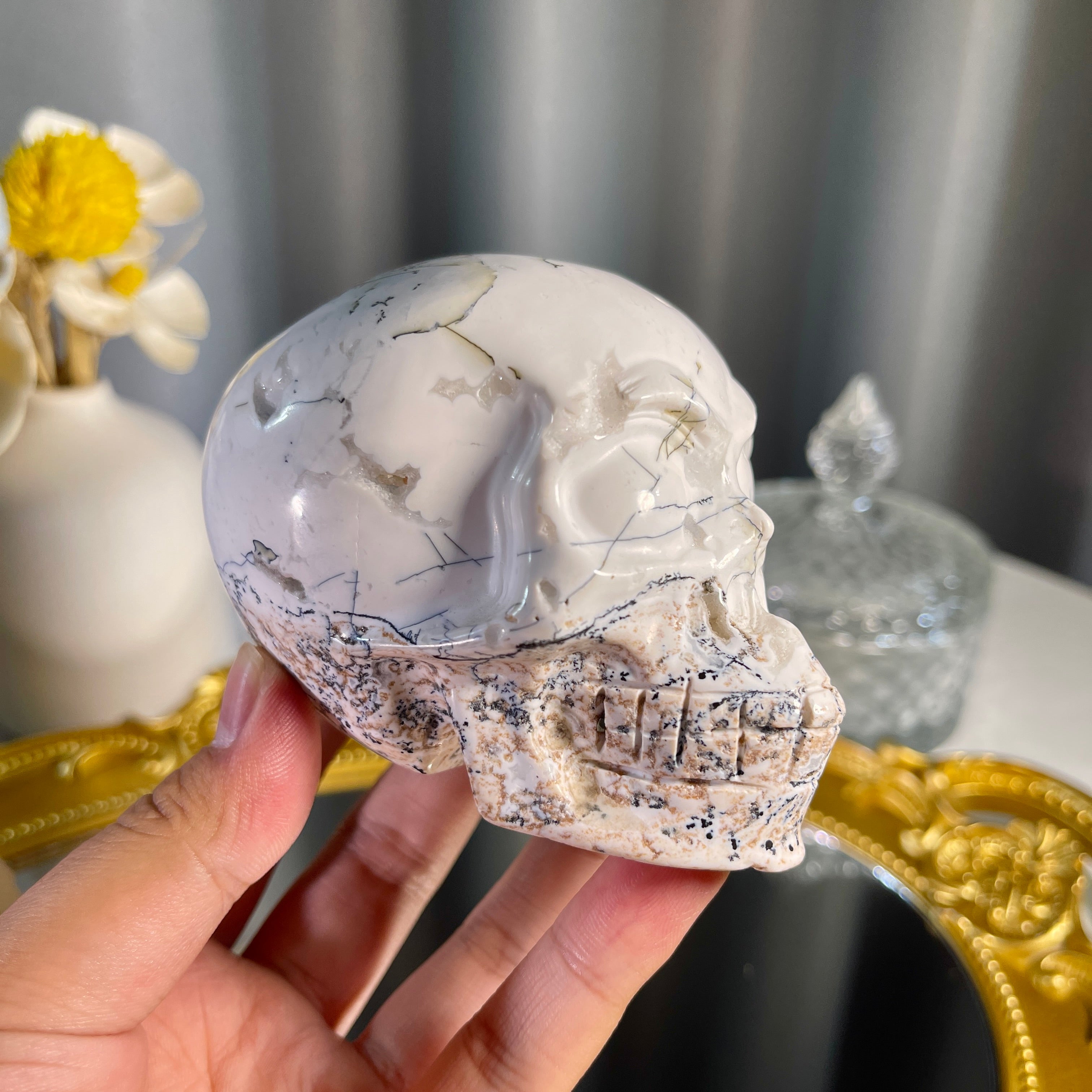 2.5"+ Druzy Tree Agate Skull 1PC