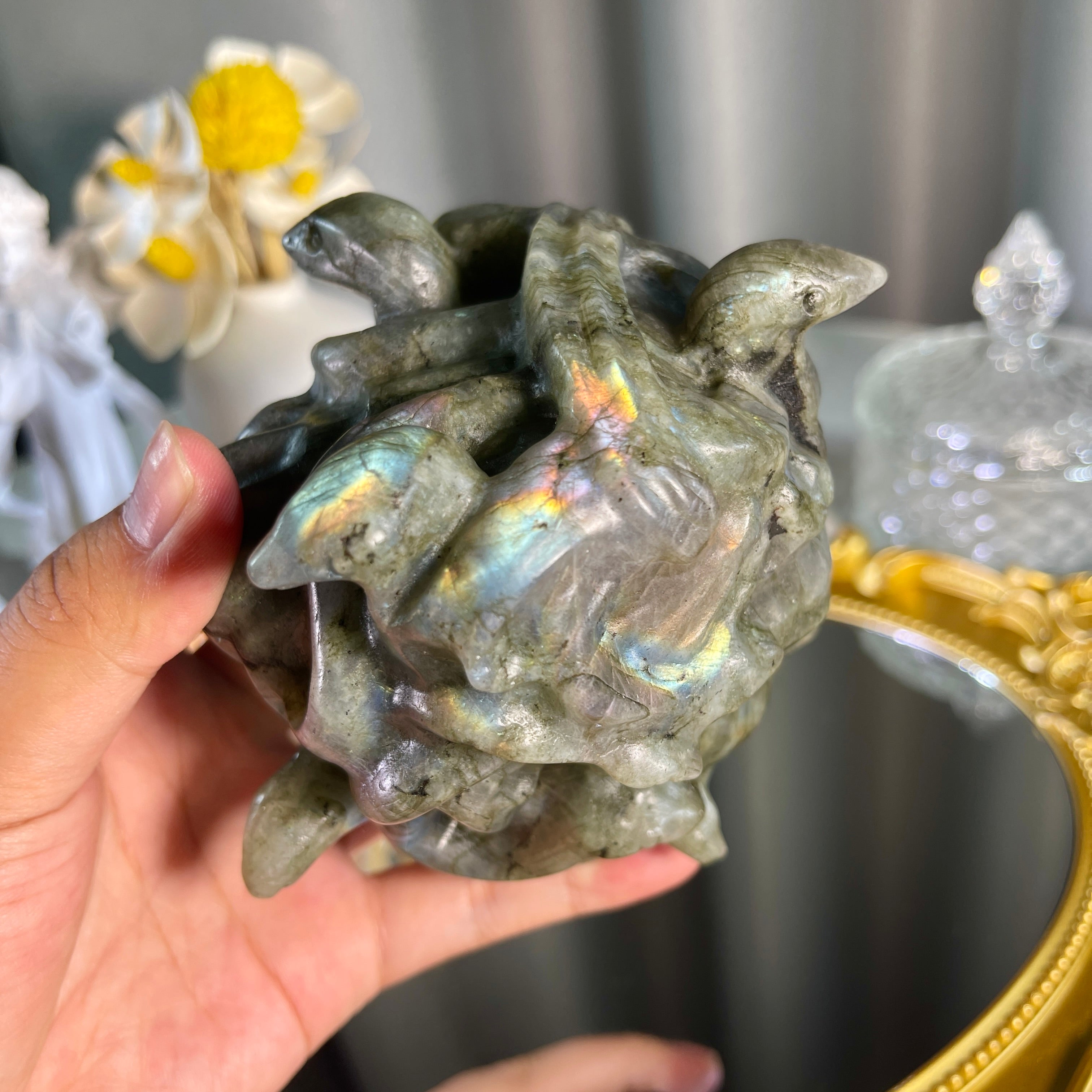 3.7"+ Labradorite Medusa Head 1PC