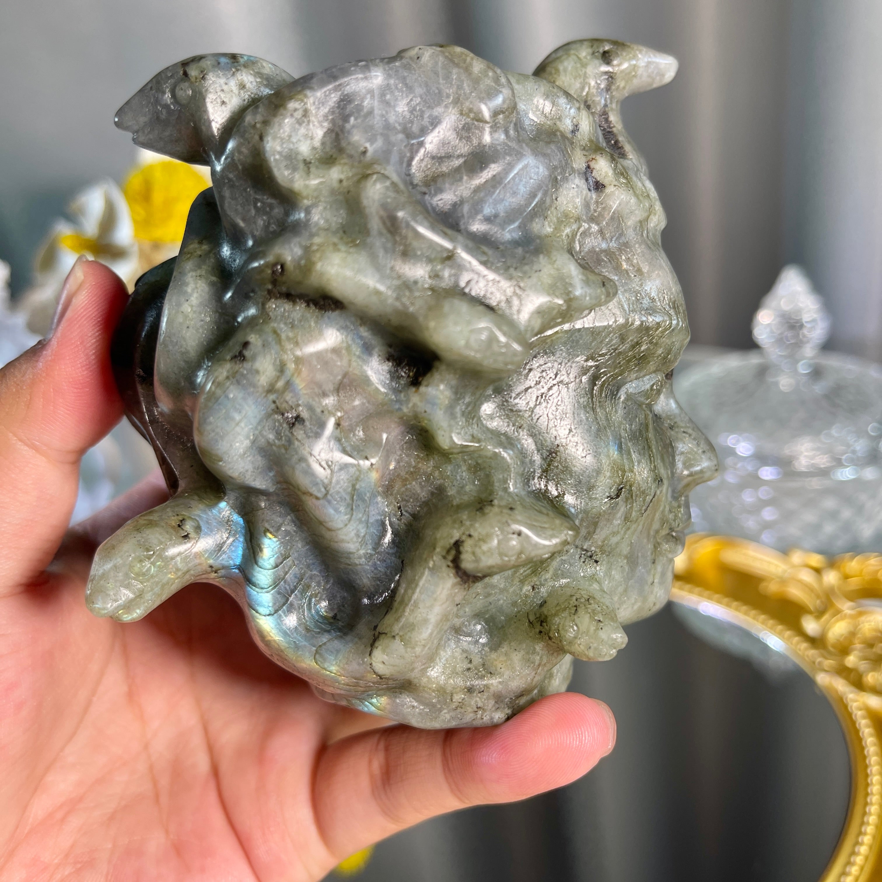 3.7"+ Labradorite Medusa Head 1PC