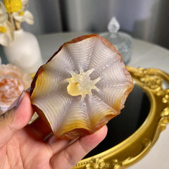 3.0"+ Agate Spider 1PC