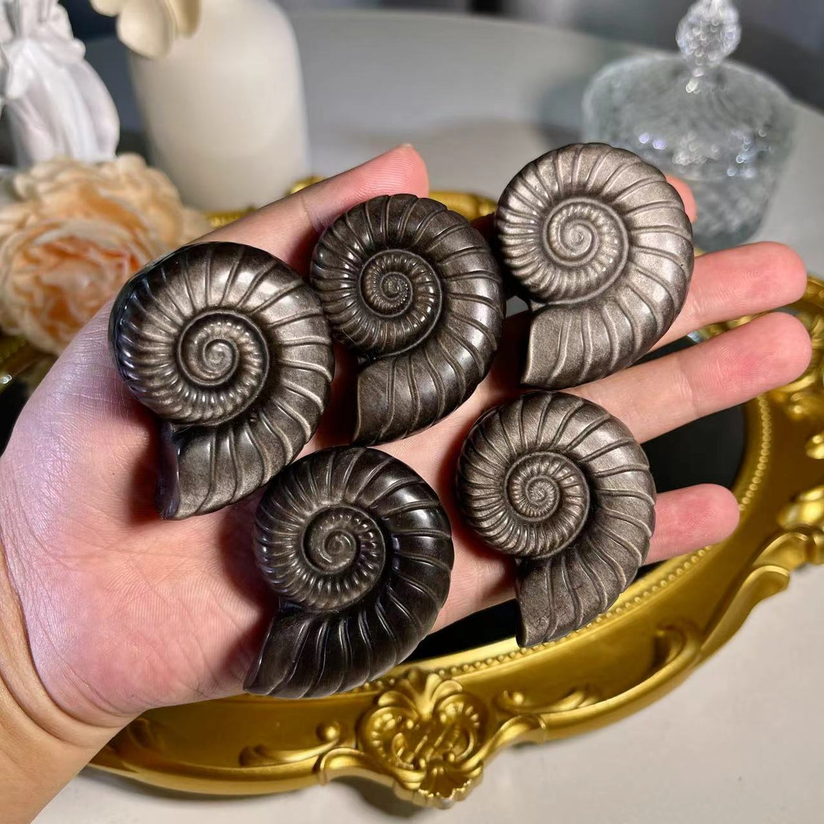 1.8"+ Silver Obsidian Sea Snail 1PC