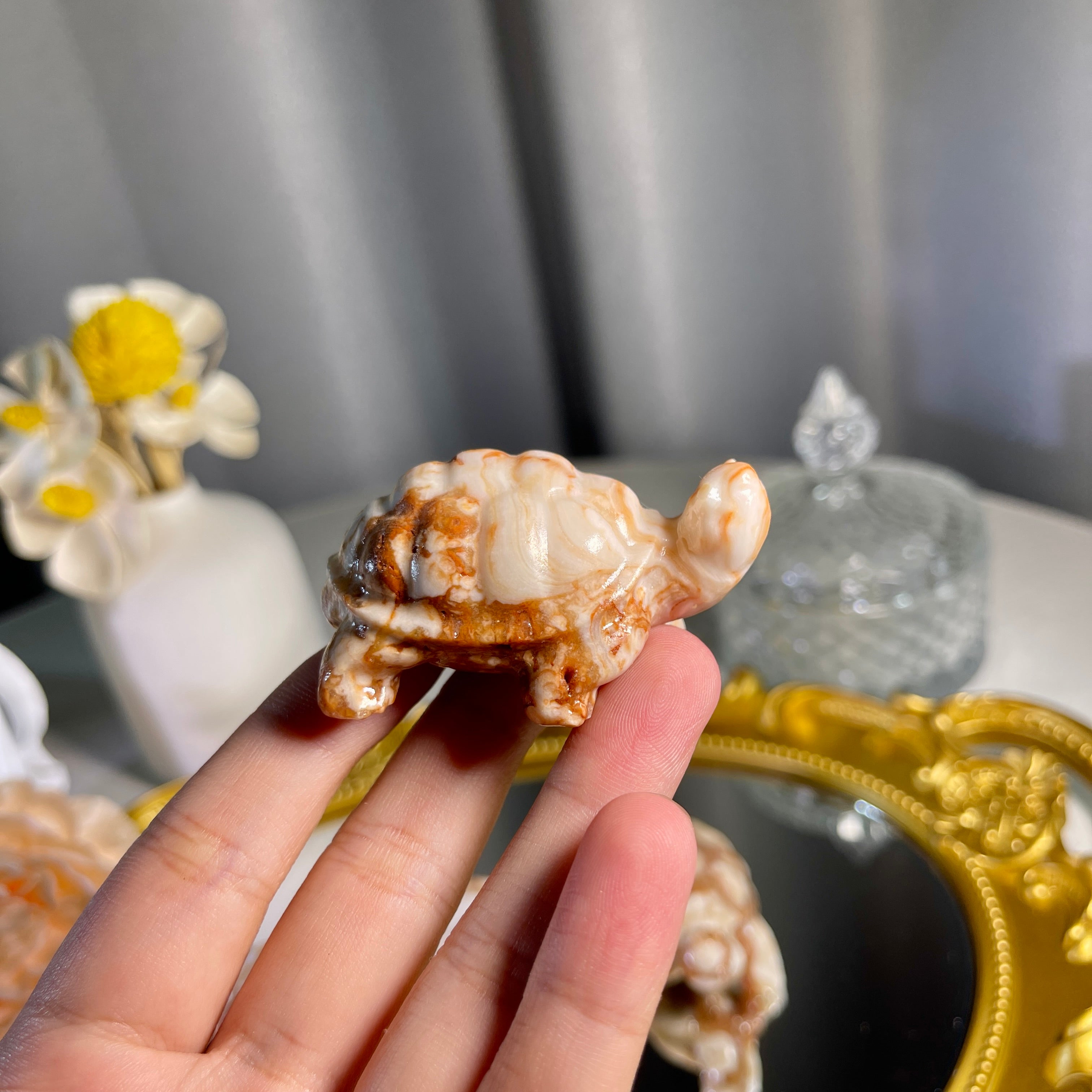 2.3"+ Amber Calcite Turtle 1PC