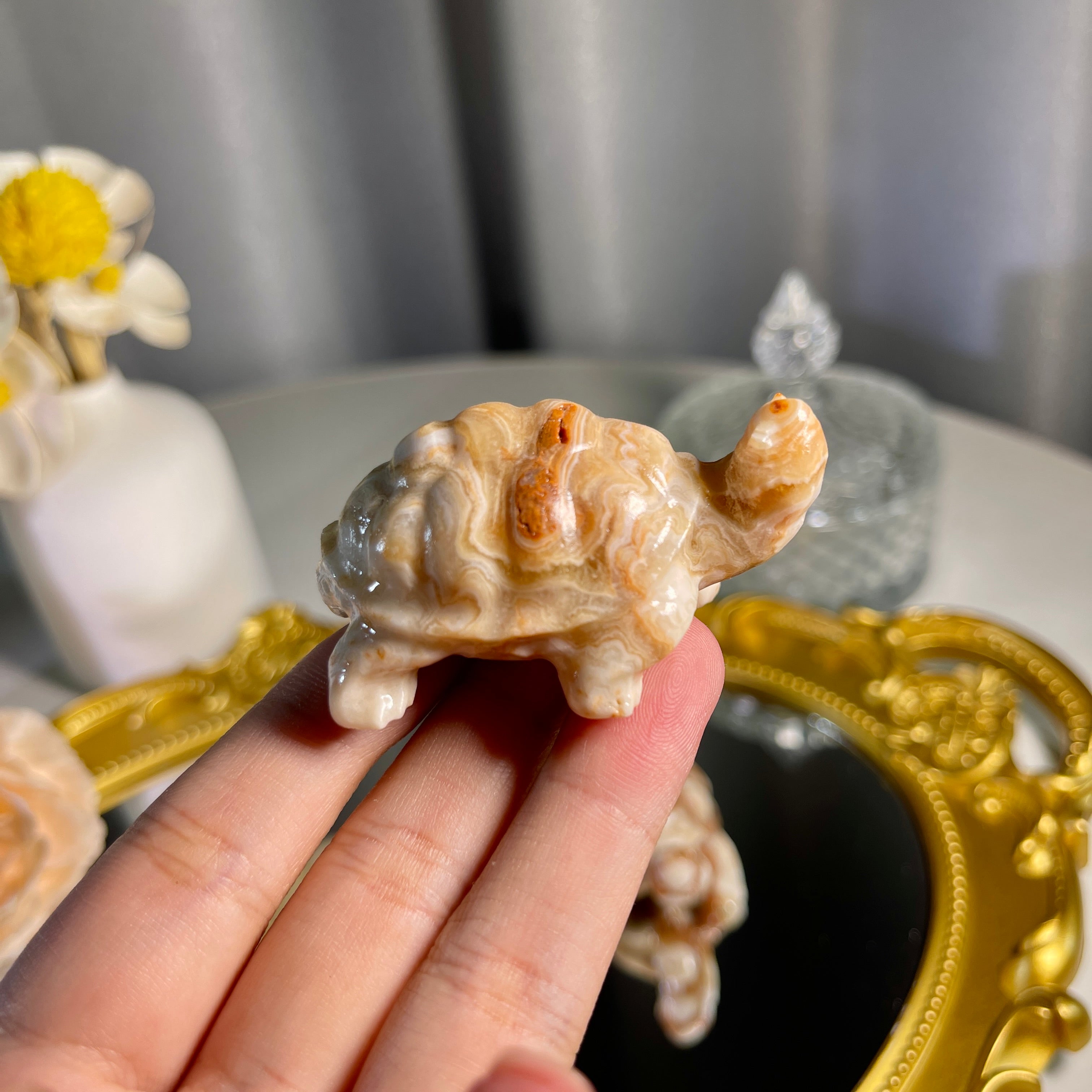 2.3"+ Amber Calcite Turtle 1PC