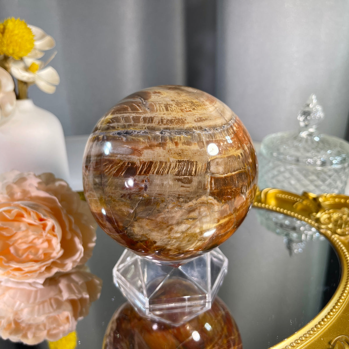 3.7"+ Petrified Wood Sphere 1PC