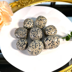 Dalmatian Jasper Tumble 7PCS